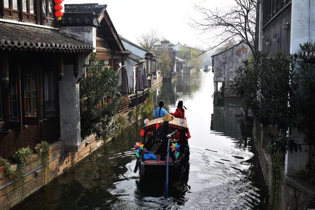 逃离仿真森林